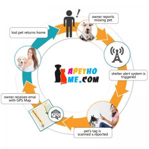 Персонализирани етикети за кучета и котки Тагове от неръждаема стомана Smart Pet ID Задайте QR код сканиран GPS местоположение