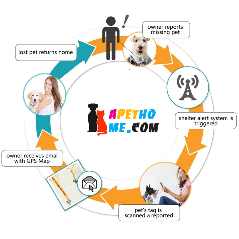 Персонализирани етикети за кучета и котки Тагове от неръждаема стомана Smart Pet ID Задайте QR код сканиран GPS местоположение