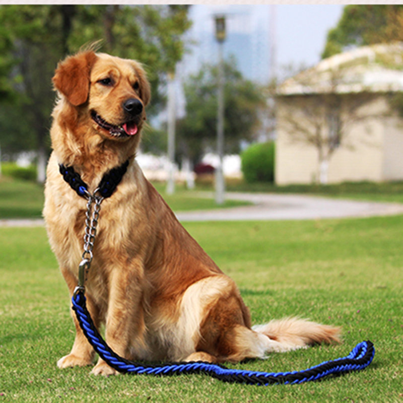 как да се грижа за кучето?какво куче да яде за pregn