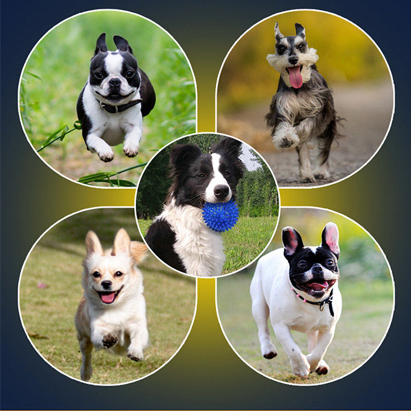 как да се намали разрушителната сила на кучета.