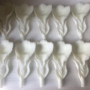 Прототипни разтвори