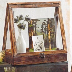 Стъклена витрина