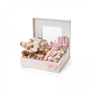 Горещи продажби macaron опаковка кутия с капак macaron кутия дизайн