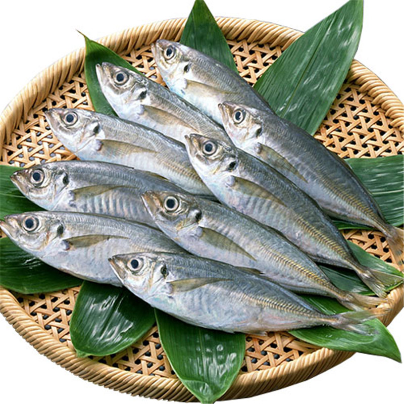 Замразена скумрия