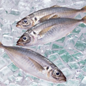 Замразена скумрия