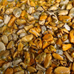 Замразено варено мидено месо