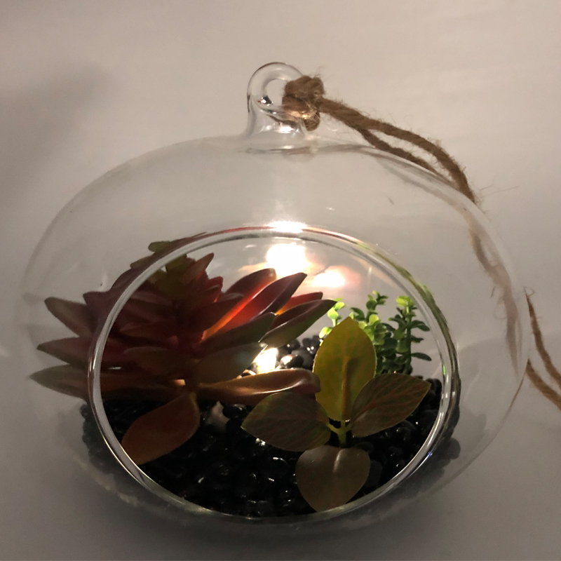 LED стъклени настолни декоративни изкуствени сочни растения с ваза за глобус