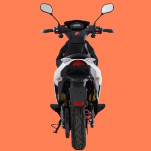 Електрически скутер, E-скутер, Мотоциклети