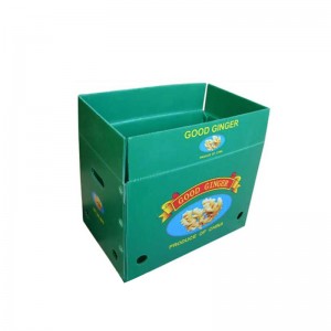 Кутия за джинджифил