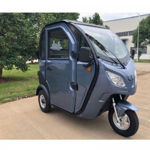E-Trike, E-триколка, Electric Trike