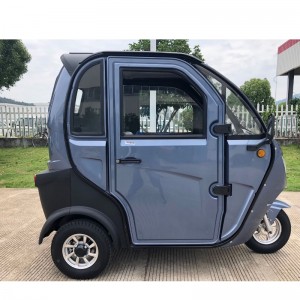 E-Trike, E-триколка, Electric Trike