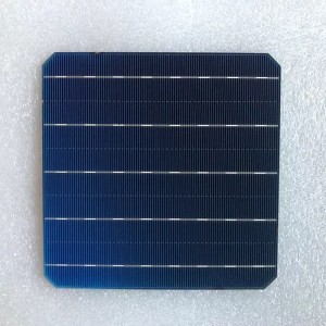 Монокристална клетка