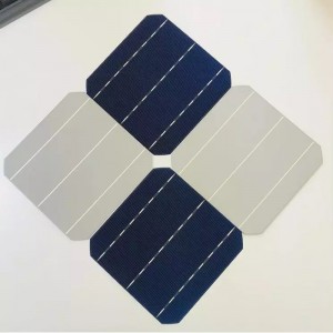 Монокристална клетка