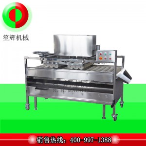 Очистител за плодове / почистващ плод / почистващ препарат за плодови четки QM-2