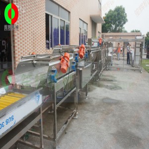 Голяма зеленчукова и плодова белене и рязане на производствена линия