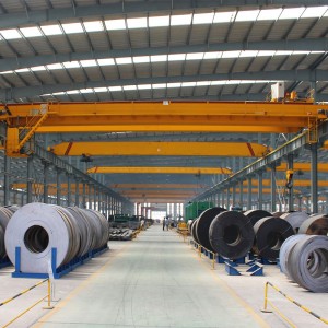 Европейски стандартен двоен носещ кран