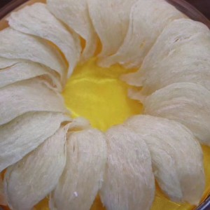 Птиче гнездо за подхранване