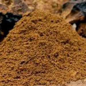 Chaga гъба inonotus obliquies здравеопазване добро състояние и допълнение