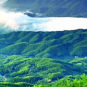 Tianjian черен чай чанта hunan anhua черен чай здравеопазването чай