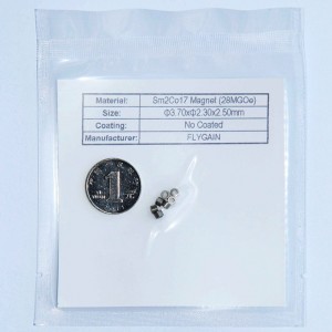 Микро прецизен SMC малък магнит