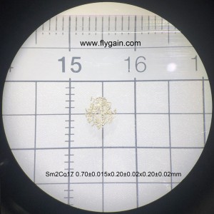 Smco производител супер малък прецизен микро магнит