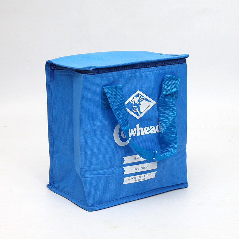 SGC30 на едро Евтини промоционални цени Рециклируемо потребителско лого отпечатано Хранителна тотална топлоизолирана чанта за охладител