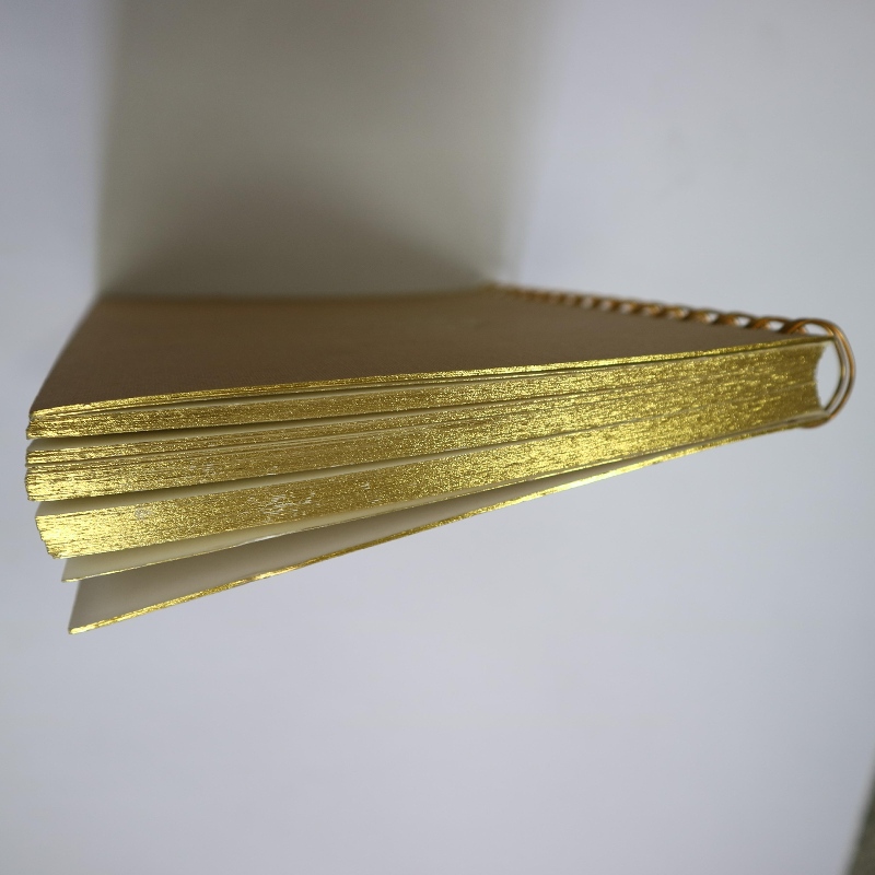 Златна щамповаща бобина, обвързваща тетрадка в ретро стил