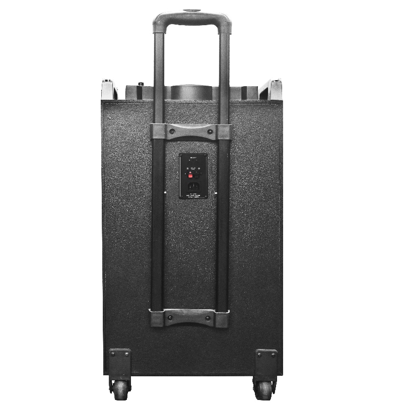 Тролей високоговорител Y-18312-12H