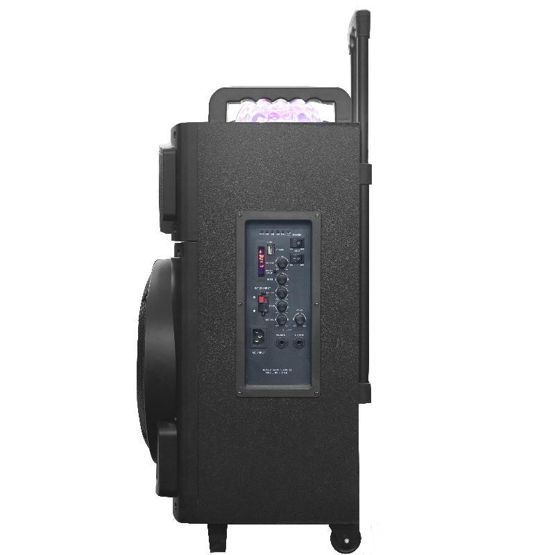 Говорител Y-K8-12M2H