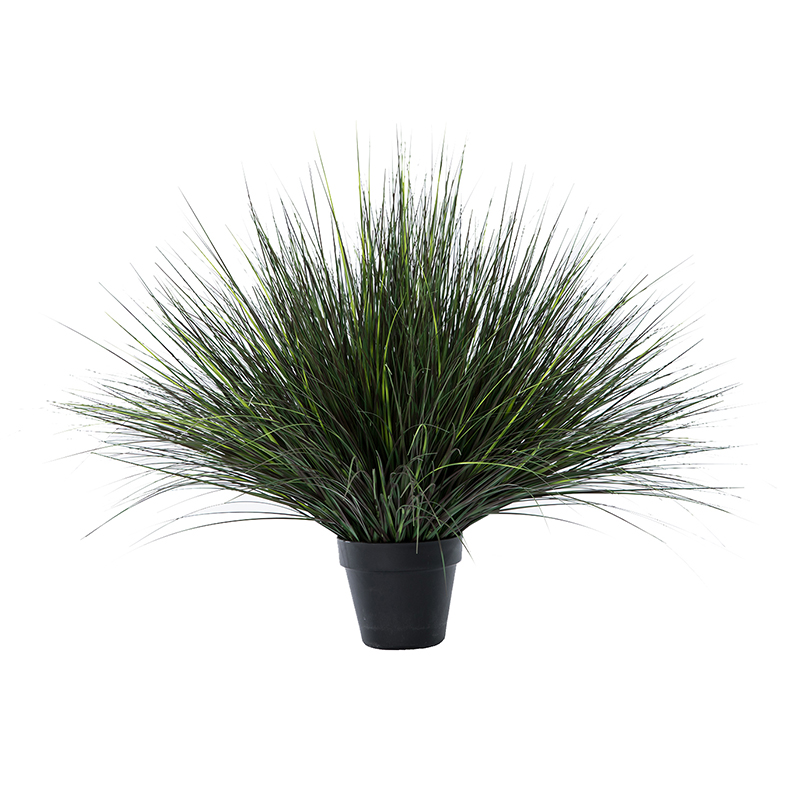 OH109200024/ OH109200025/ OH109200026