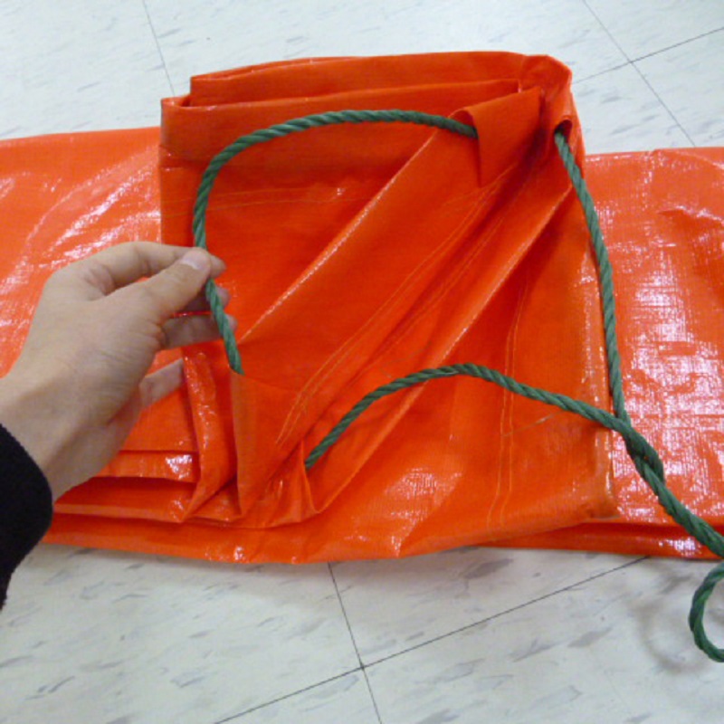 По поръчка полиетилен Tarp China Pe Брезент с очила