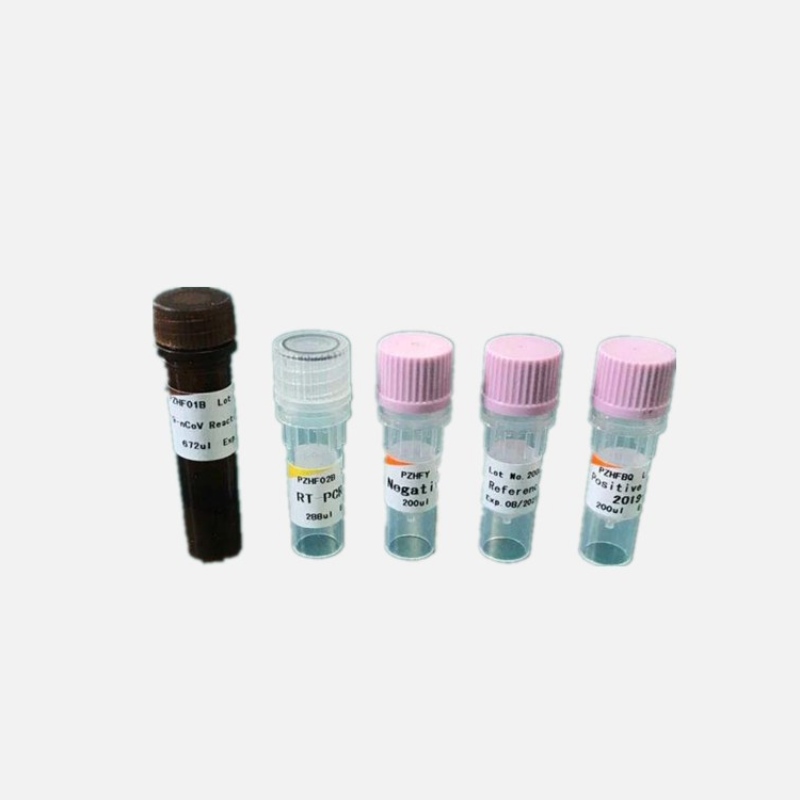 KOVID-19 RT-PCR Rediction Kit