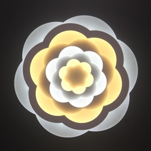 AC805 Таванна светлина