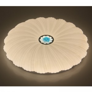 CX202 Таванна светлина