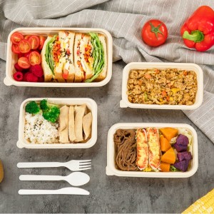 Квадратна форма, екологично чисти, удобни за еднократна употреба контейнери за съхранение на храна за еднократна употреба, конте...