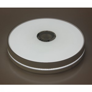 MU111 Светлина за таван