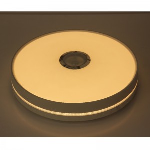 MU111 Светлина за таван