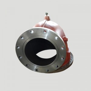 Всмукателен лакът