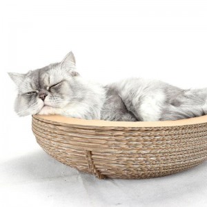 Paper Cat Bowl Scread Boad гнездо