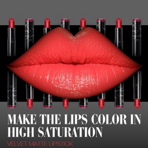 Дълготраен частен етикет червило