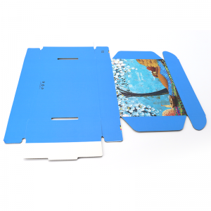 Tuck абонамент Опаковка за обувки Печат Цветна гофрирана хартия Доставка Blue Custom Logo Mailer Box