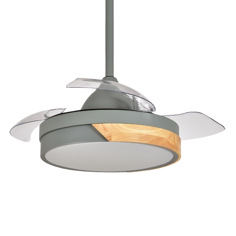 FAN LIGHT FL Y BS1361 36