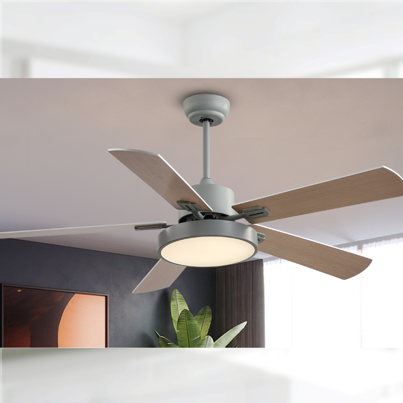 FAN LIGHT FL Z BS5671C 42