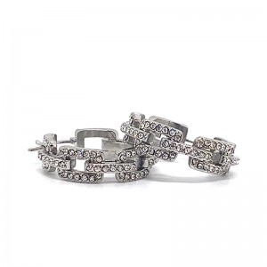 Европейска и американска мода неръждаема стомана Zircon обеци (не избледняват)