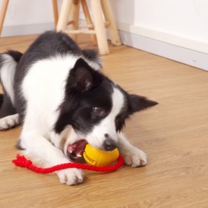 Гума изтичане на закуски куче играчка