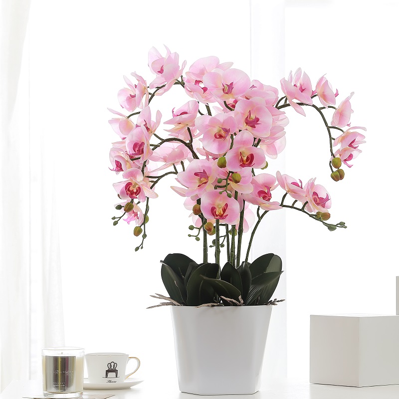 Истинско докоснато изкуствена изкуствена орхидея за продажба