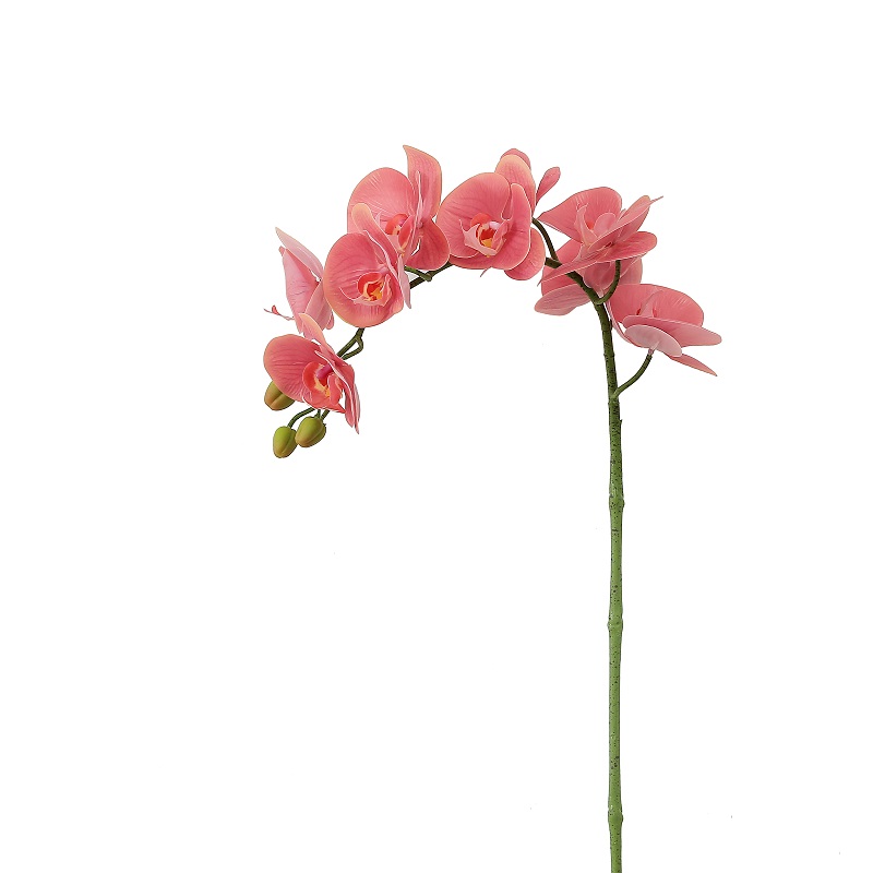 Висококачествен истински троньор изкуствен орхидея за продажба
