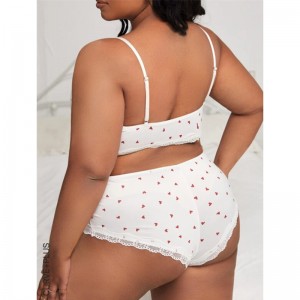 2022 LenCeria Модерна прозрачна дантела Бралета Задайте чрез кухини горещи секси жени бельо