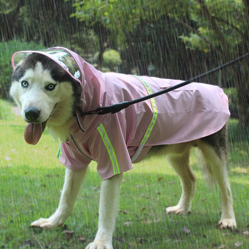 Китай източник фабрика 2022 ново ъпгрейд куче дъжд палто куче водоустойчив костюм куче облекло