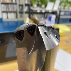 DWC Голяма тренировка WCMT вложка